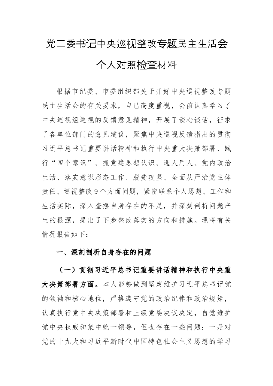 党工委书记中央巡视整改专题民主生活会个人对照检查材料.docx,第1页预览