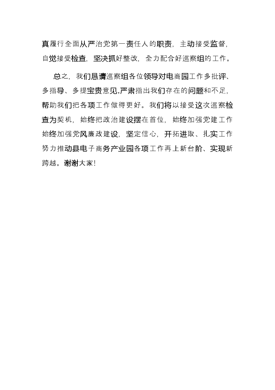 电商园在巡察整改动员会上的表态发言.docx,第4页预览