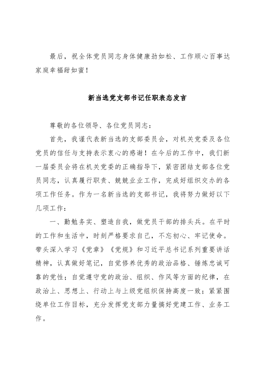 (3篇)新当选党支部书记任职表态发言.doc,第4页预览