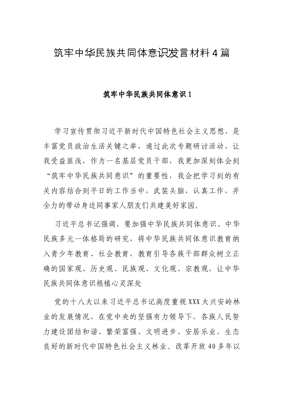 (4篇)筑牢中华民族共同体意识发言材料.docx,第1页预览