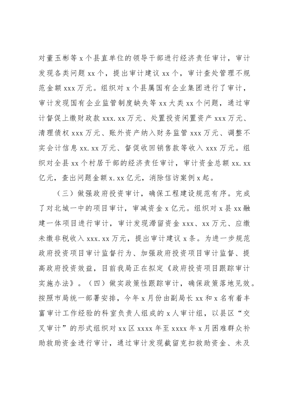 (3篇)审计局2022年工作总结和2023年工作计划.docx,第3页预览