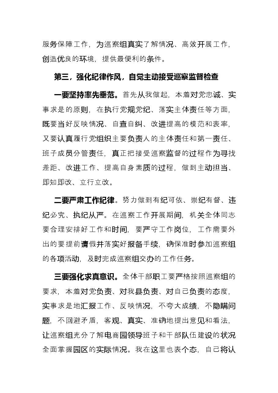 电商园在巡察整改动员会上的表态发言.docx,第3页预览