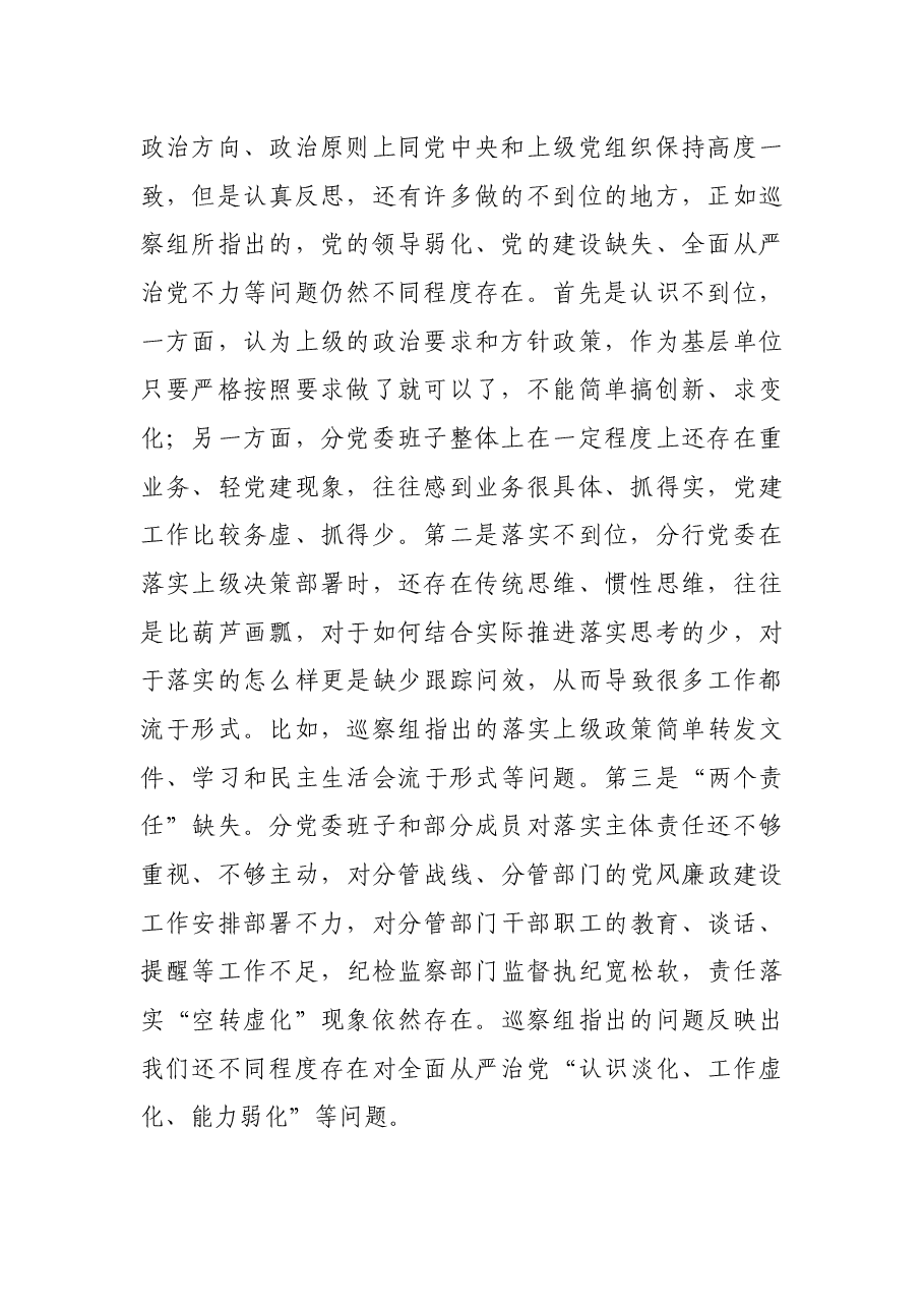 银行党委班子巡察整改专题民主生活会对照检查发言提纲.docx,第2页预览
