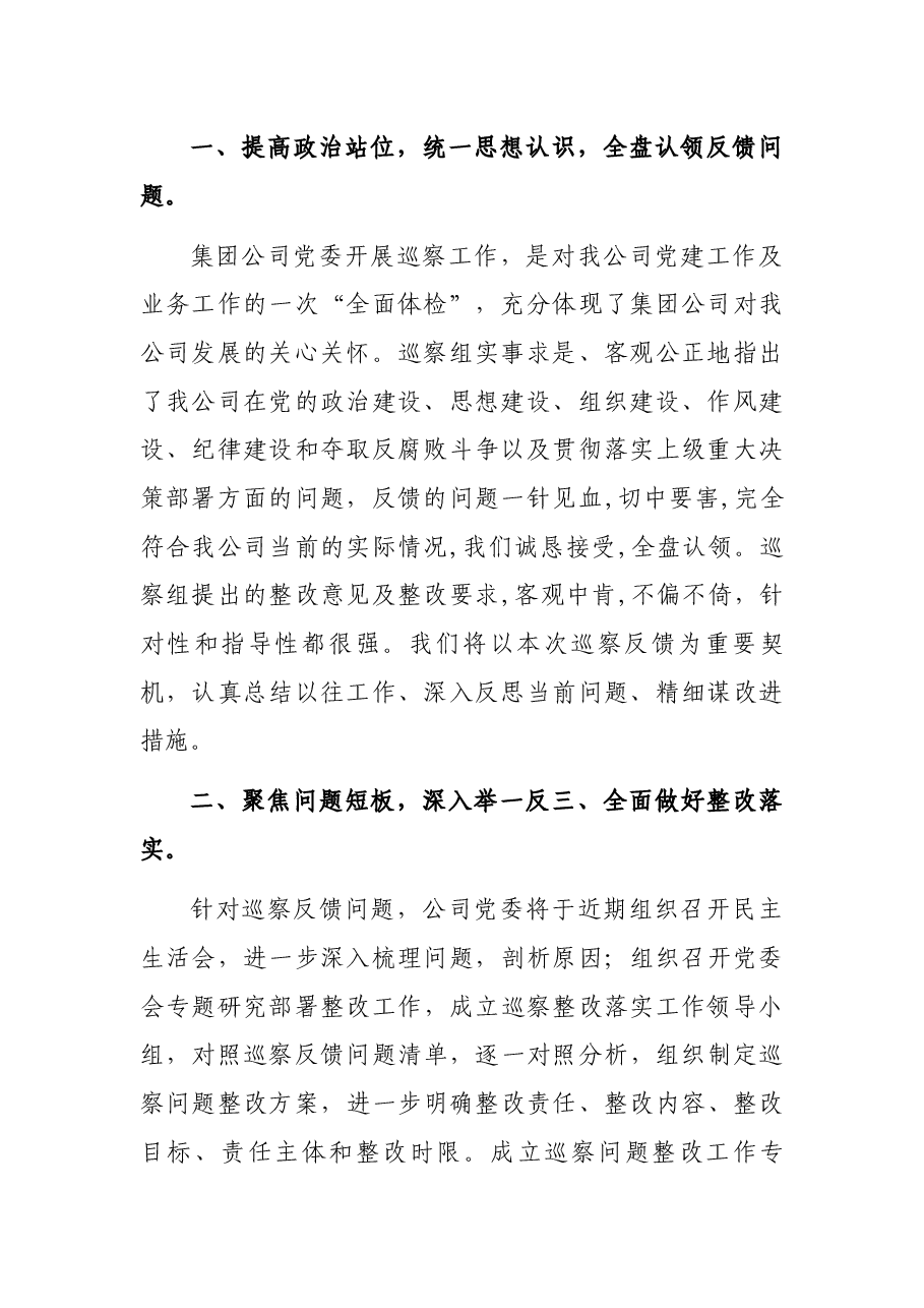 某国有企业党委书记在巡察组巡察反馈会上的表态发言.docx,第2页预览