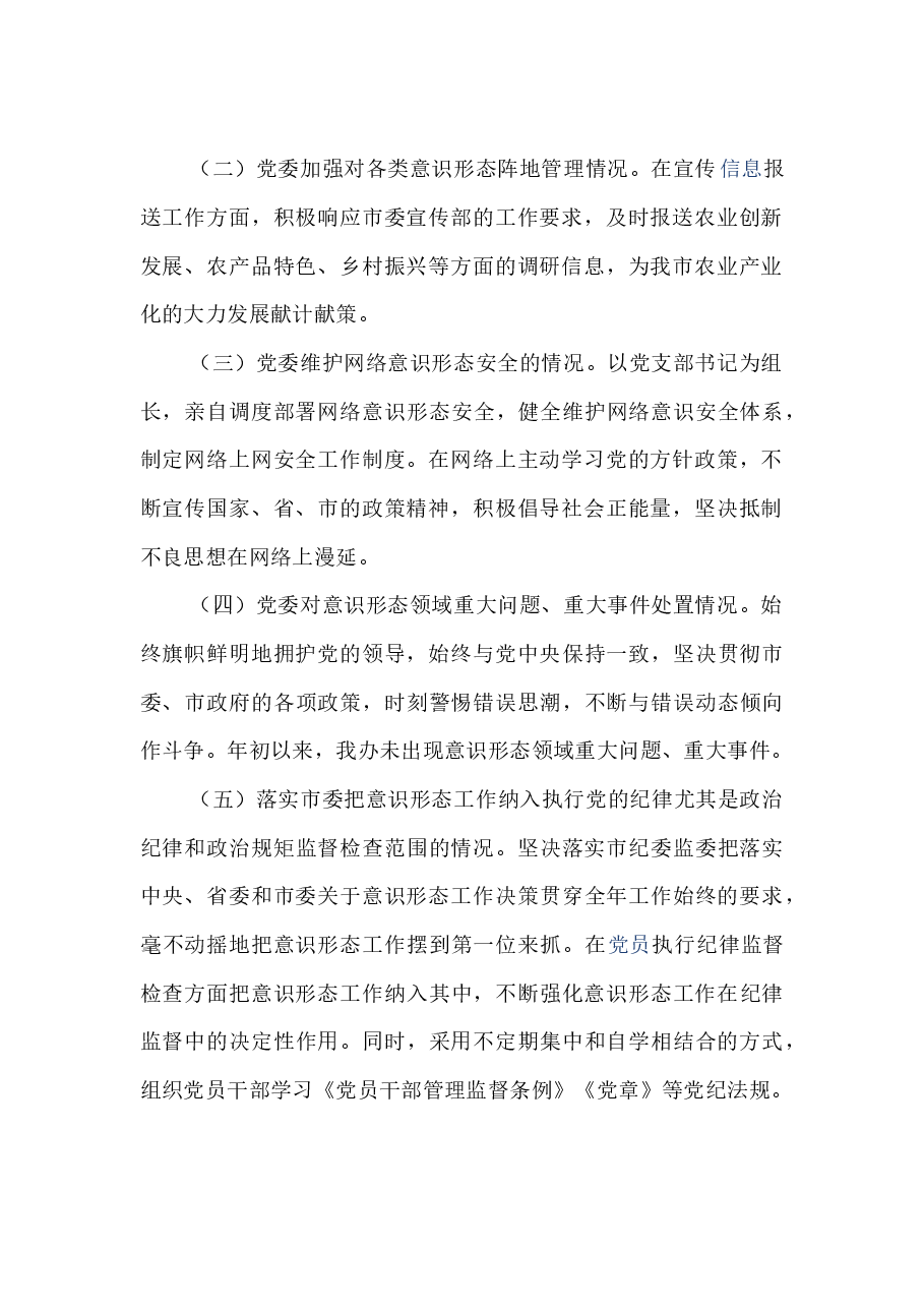 202X年度政府意识形态工作总结报告.docx，第2页预览