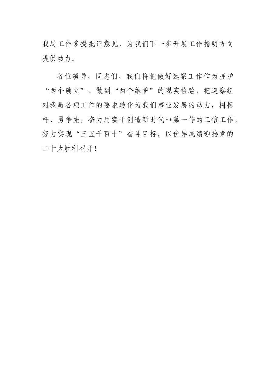工信局在市巡察组巡察工作会议上的表态发言材料.docx,第3页预览