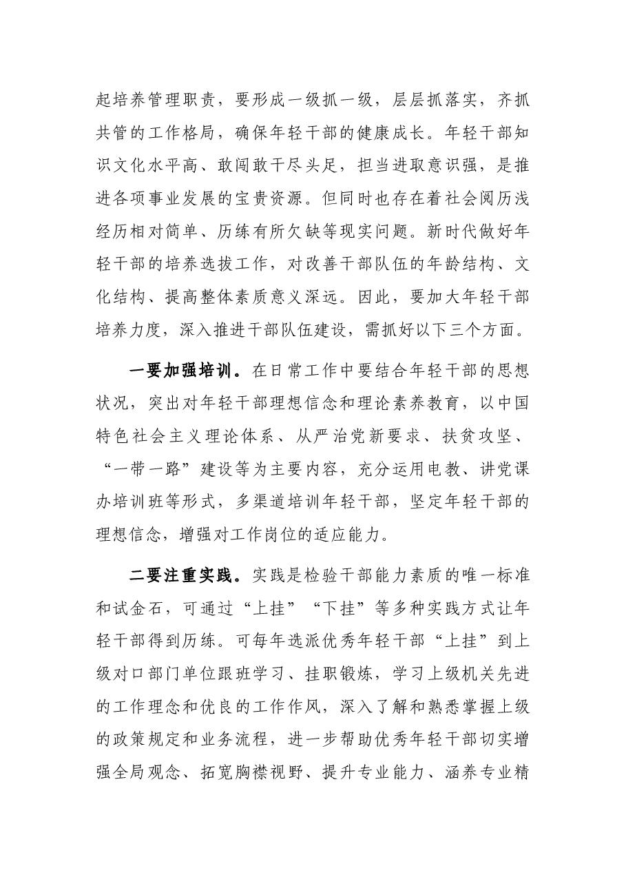 研讨发言:加大年轻干部培养力度 深入推进干部队伍建设.docx,第2页预览