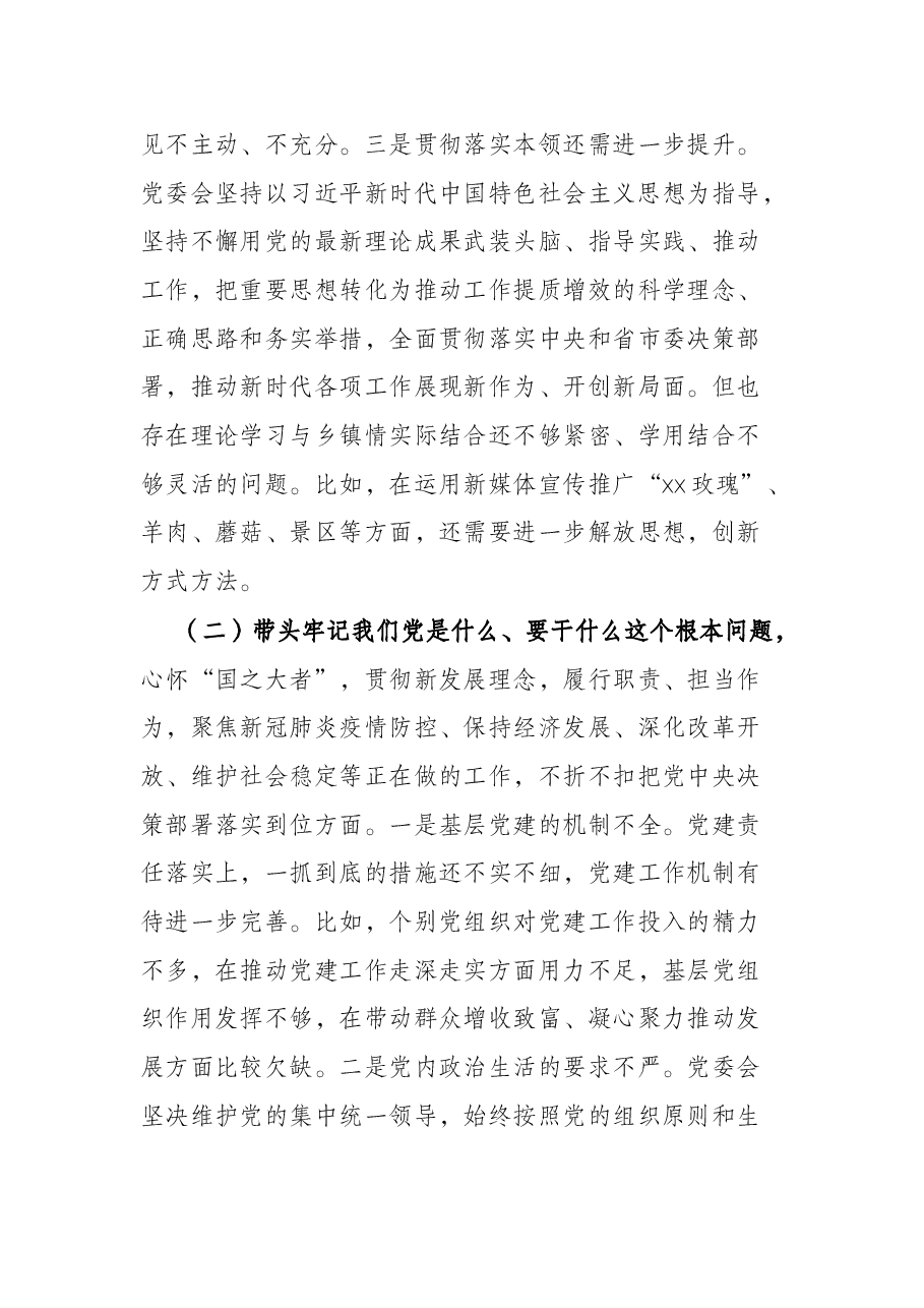 镇领导班子党史学习教育专题民主生活会五个带头对照检查材料.docx,第3页预览
