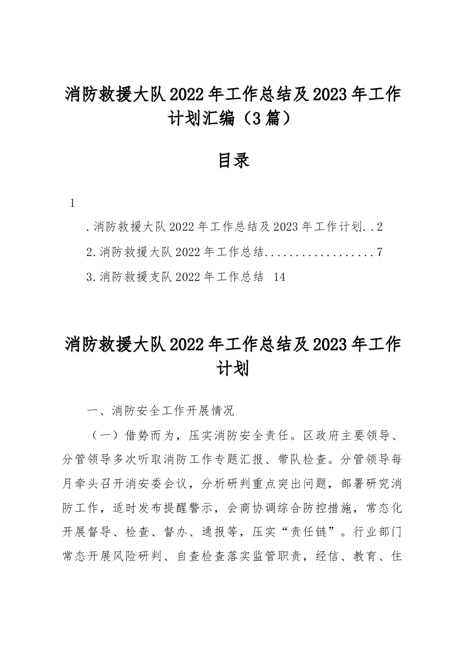 (3篇)消防救援大队2022年工作总结及2023年工作计划汇编.docx,第1页预览