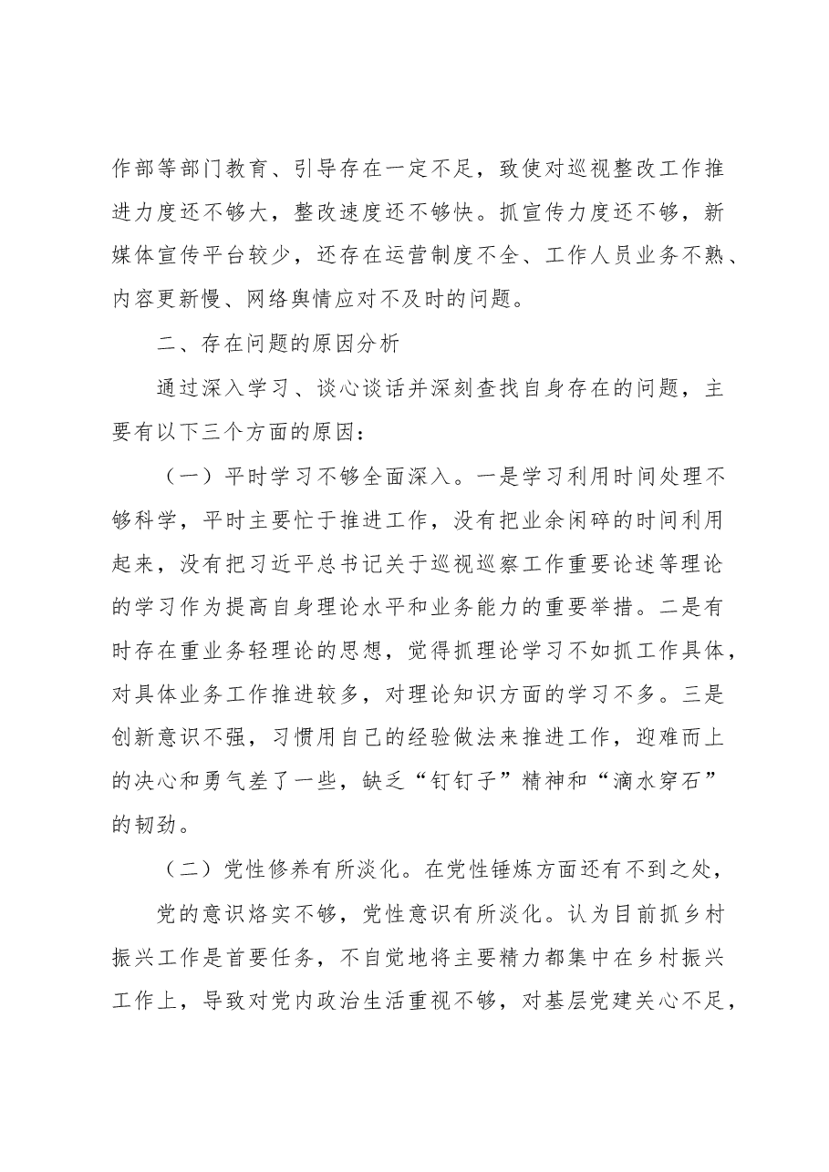 副书记落实市委巡察组反馈意见整改专题民主生活会发言提纲.docx,第3页预览