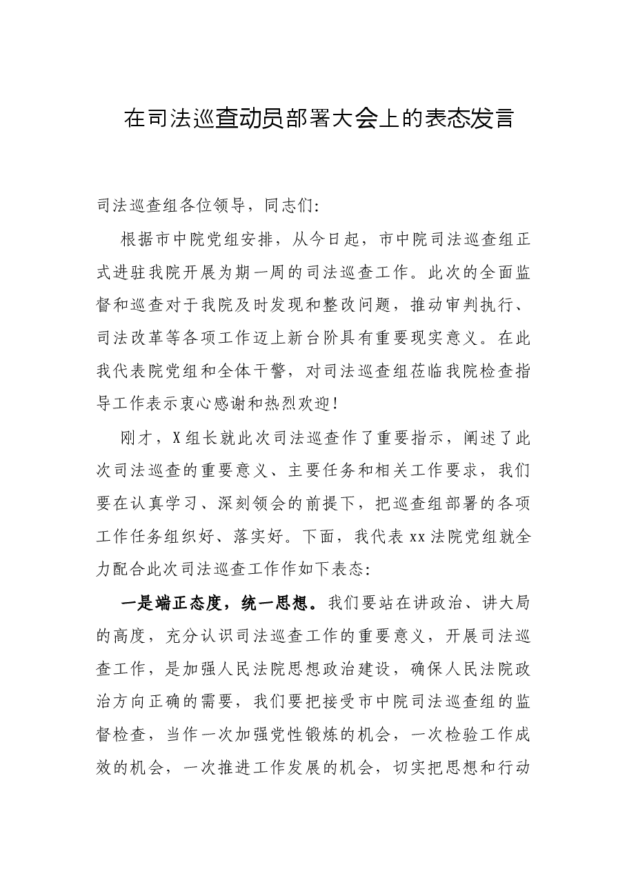 在司法巡查动员部署大会上的表态发言.docx,第1页预览