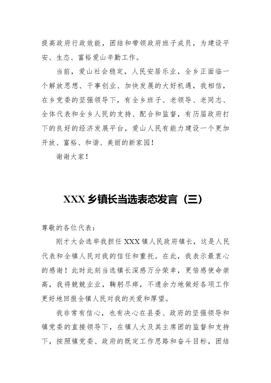 (5篇)乡长任职表态发言.docx,第4页预览