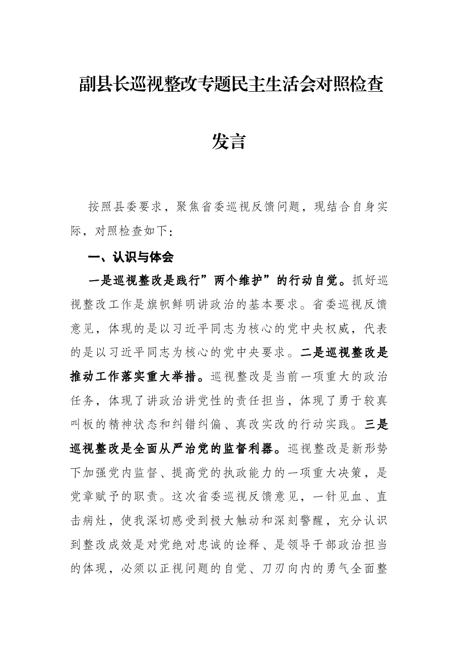 副县长巡视整改专题民主生活会对照检查发言.docx,第1页预览