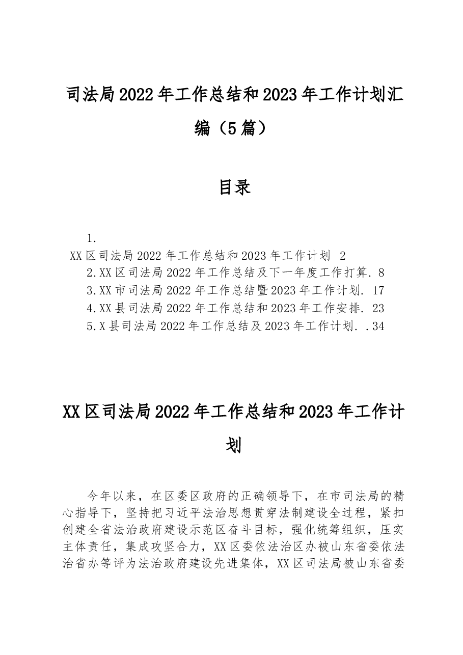 (5篇)司法局2022年工作总结和2023年工作计划汇编.docx,第1页预览