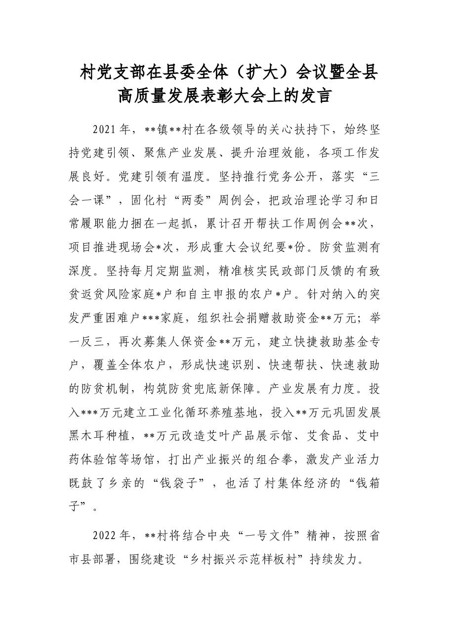 村党支部在县委全体(扩大)会议暨全县高质量发展表彰大会上的发言.docx,第1页预览