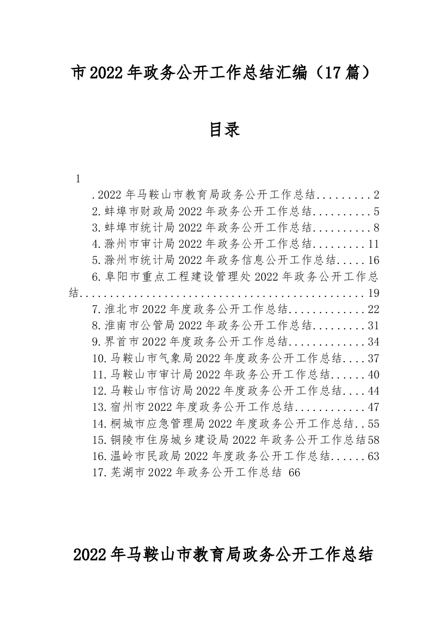(17篇)市2022年政务公开工作总结汇编.docx,第1页预览