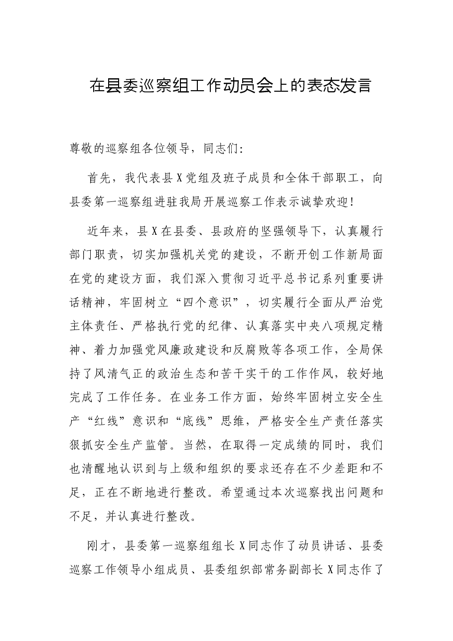 在县委巡察组工作动员会上的表态发言.docx,第1页预览
