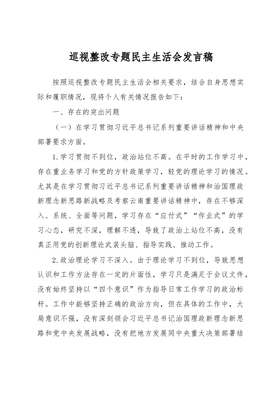 巡视整改专题民主生活会发言稿.docx,第1页预览