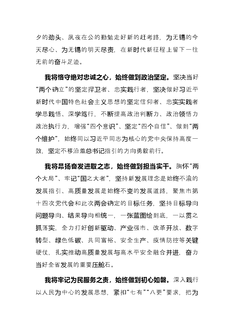 当选无锡市市长后的表态发言.docx,第3页预览