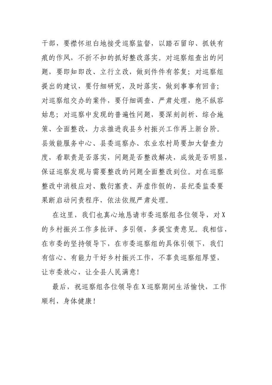 在乡村振兴领域专项巡察动员会上的声明发言.docx,第4页预览