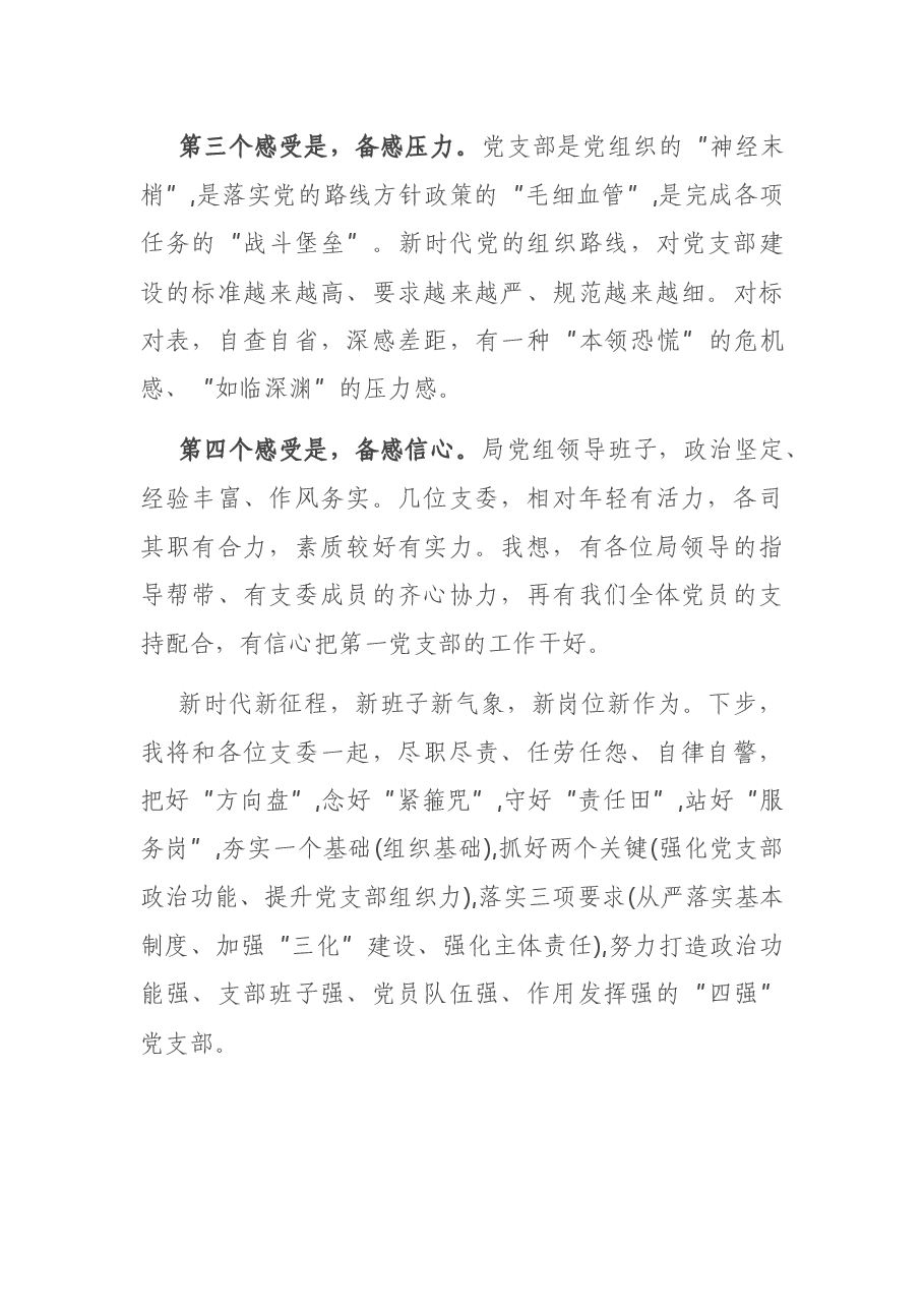 新当选党支部书记的发言.docx,第2页预览