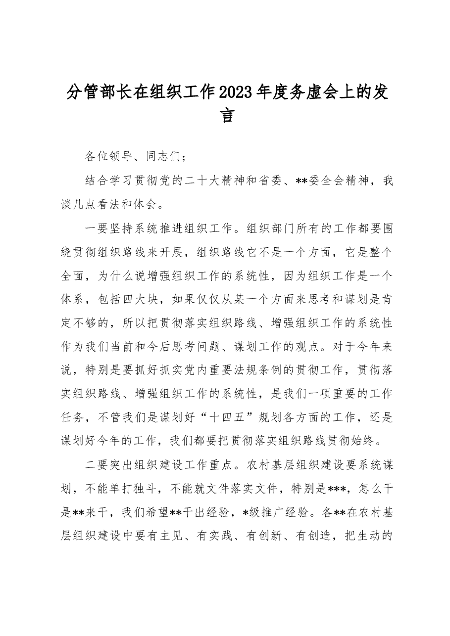 分管部长在组织工作2023年度务虚会上的发言.docx,第1页预览