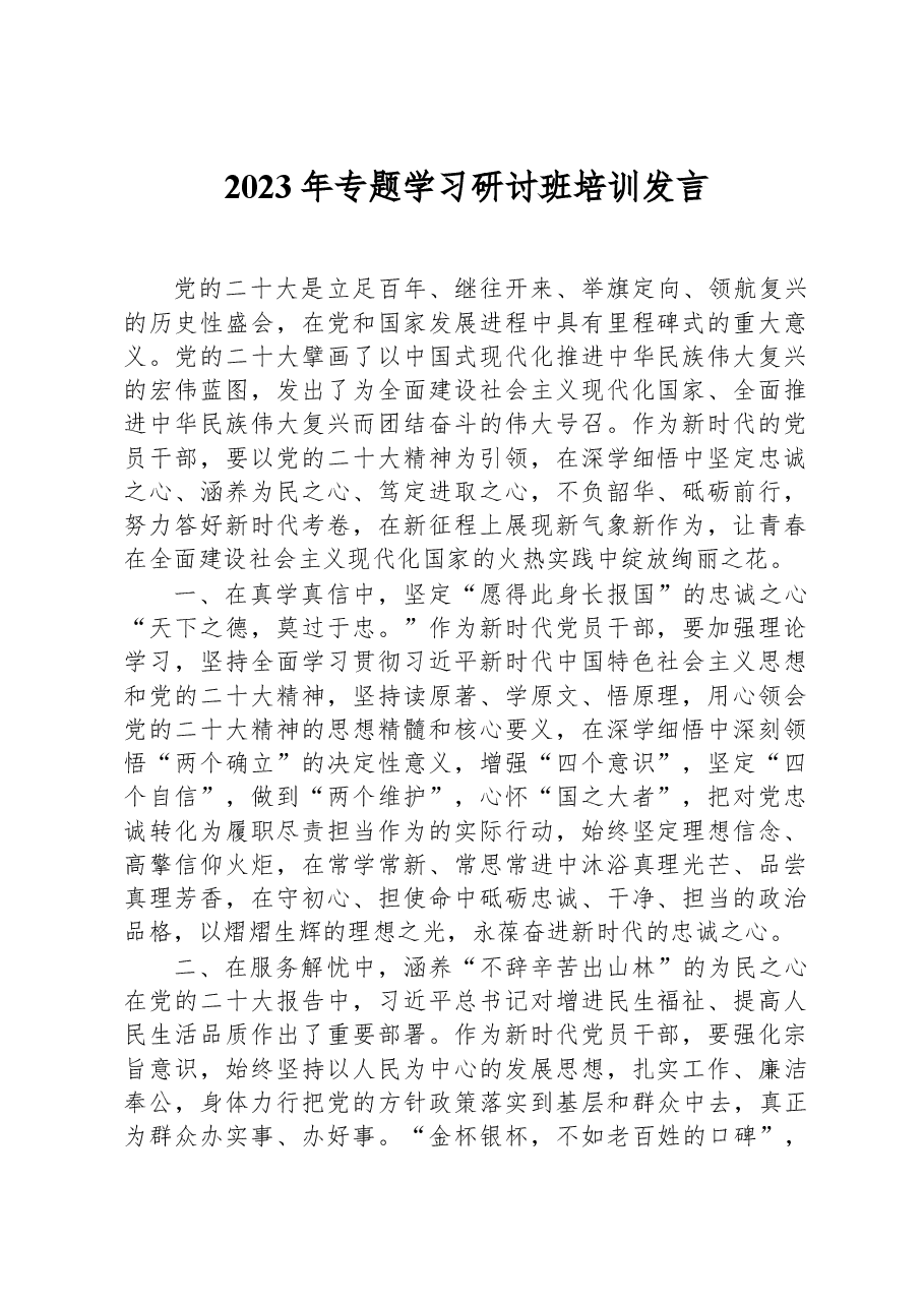 2023年专题学习研讨班培训发言.docx，第1页预览