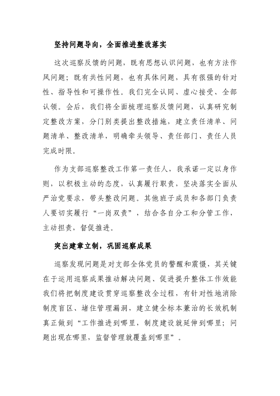 在巡察反馈会议上的表态发言.docx，第2页预览