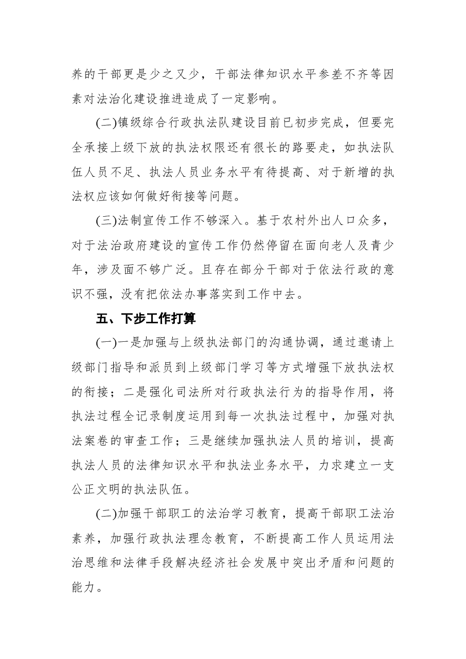 (6篇)行政执法工作总结汇编.docx,第4页预览