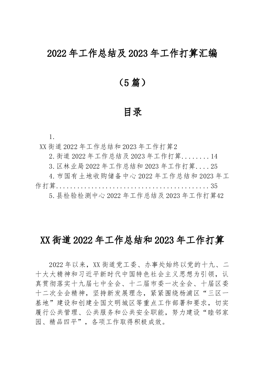 (5篇)2022年工作总结及2023年工作打算汇编.docx,第1页预览