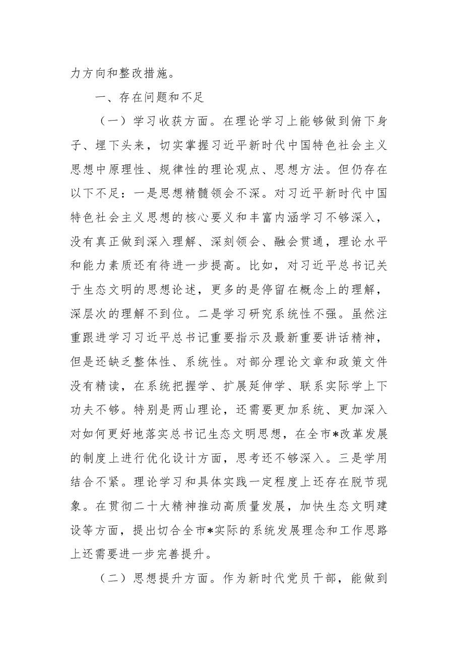 局党组书记、局长民主生活会检视剖析材料.docx,第3页预览