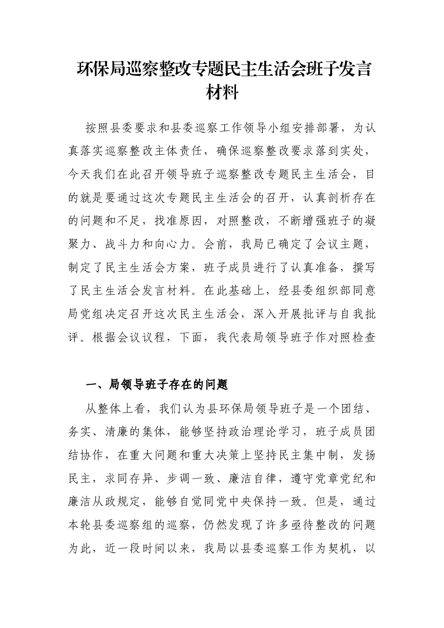 环保局巡察整改专题民主生活会班子发言材料.docx，第1页预览