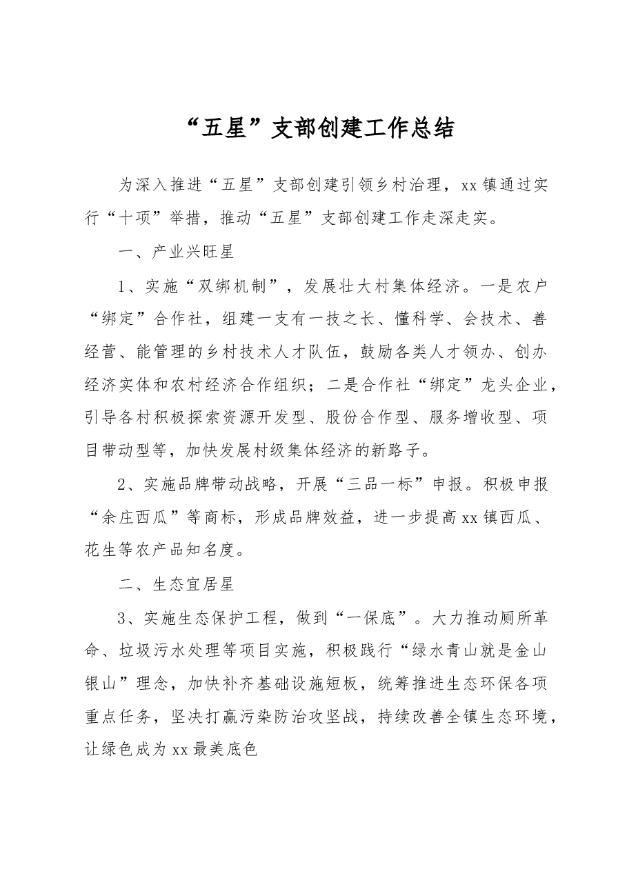 “五星”支部创建工作总结.docx,第1页预览