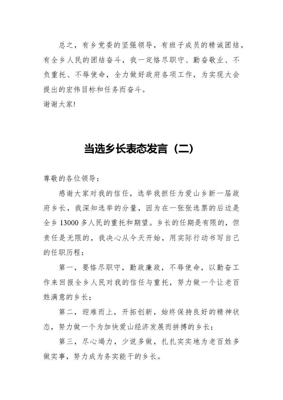(5篇)乡长任职表态发言.docx,第2页预览