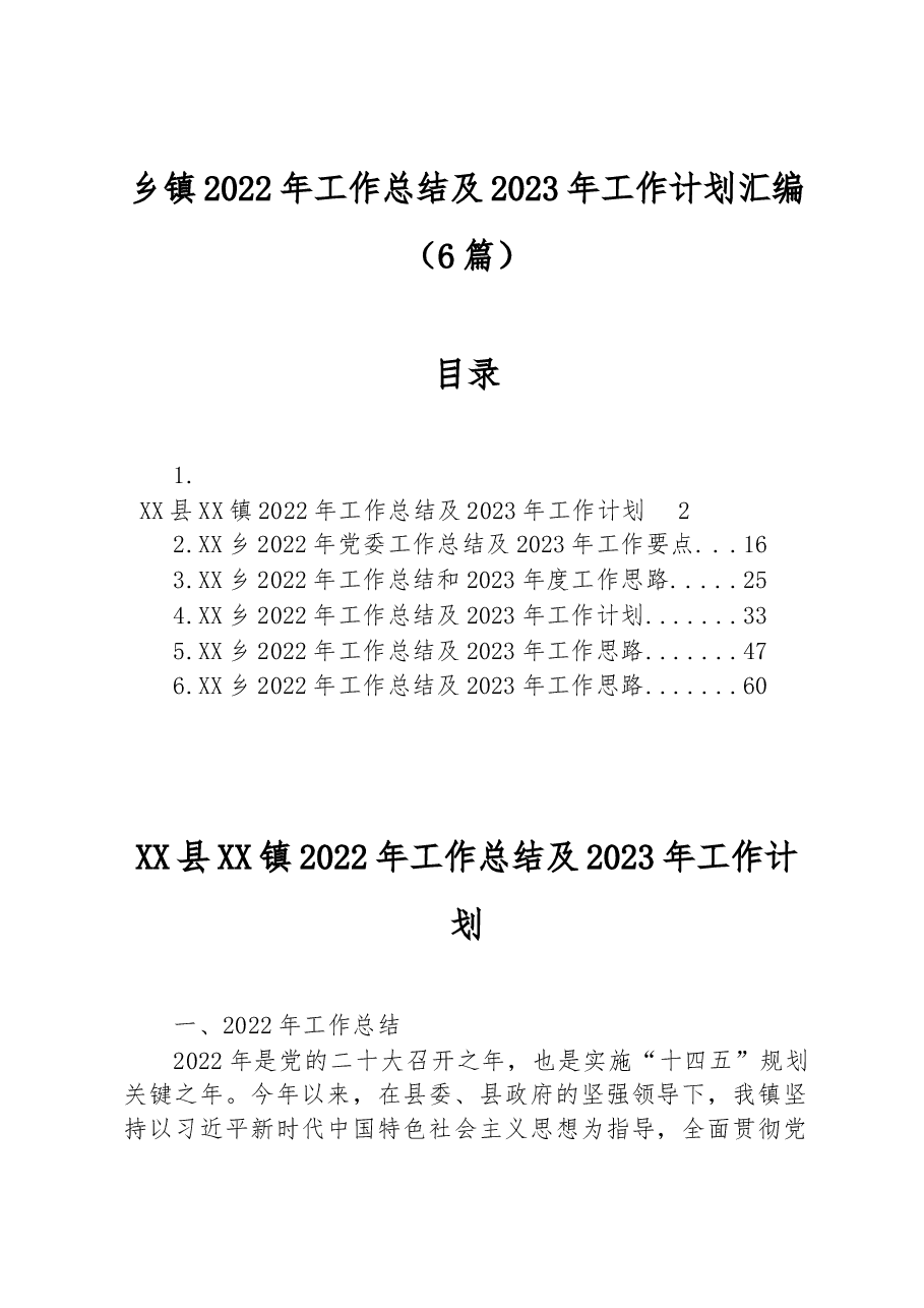 (6篇)乡镇2022年工作总结及2023年工作计划汇编.docx,第1页预览