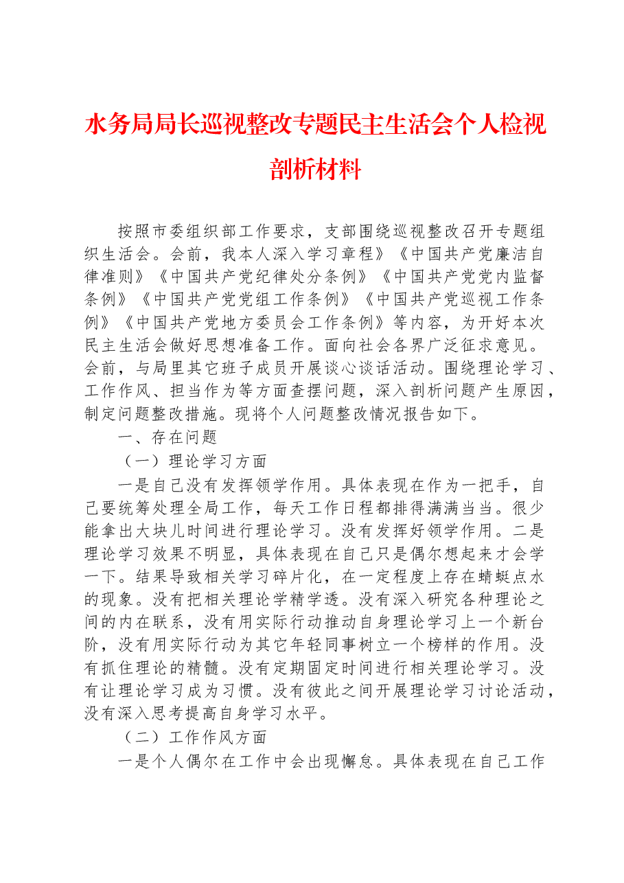 水务局局长巡视整改专题民主生活会个人检视剖析材料.docx,第1页预览