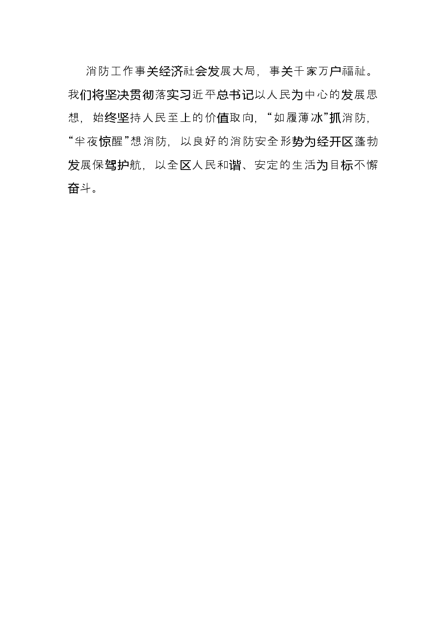 经济开发区党工委书记消防工作研讨发言:以良好的消防安全形势 为经开区蓬勃发展保驾护航.docx,第4页预览