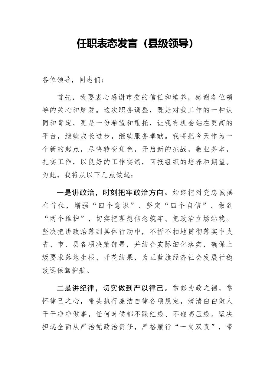 (6篇)任职表态:任职表态发言(市直领导).docx,第4页预览