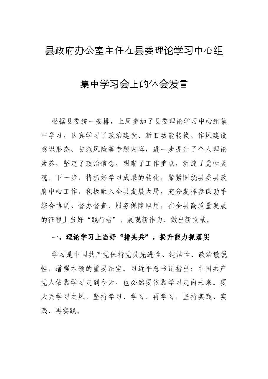 县政府办公室主任在县委理论学习中心组集中学习会上的体会发言.docx,第1页预览