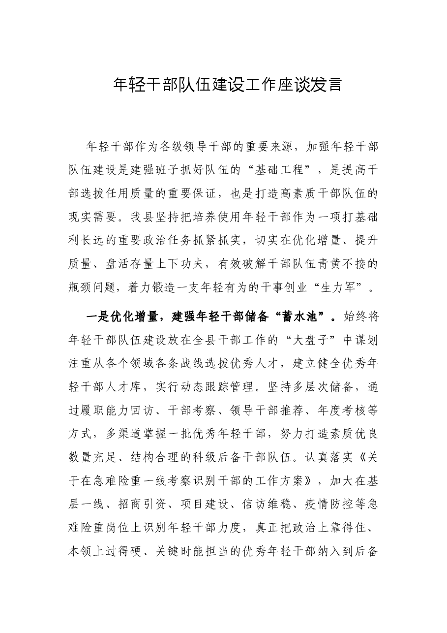年轻干部队伍建设工作座谈发言.docx,第1页预览