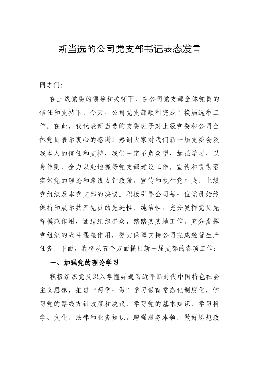 新当选的公司党支部书记表态发言.docx,第1页预览