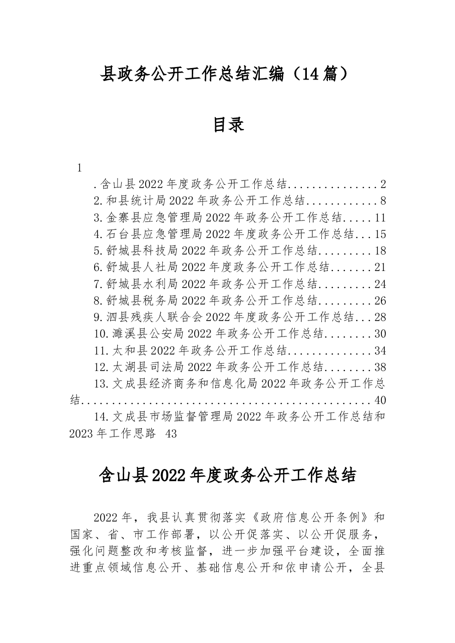 (14篇)2022年县政务公开工作总结汇编.docx,第1页预览