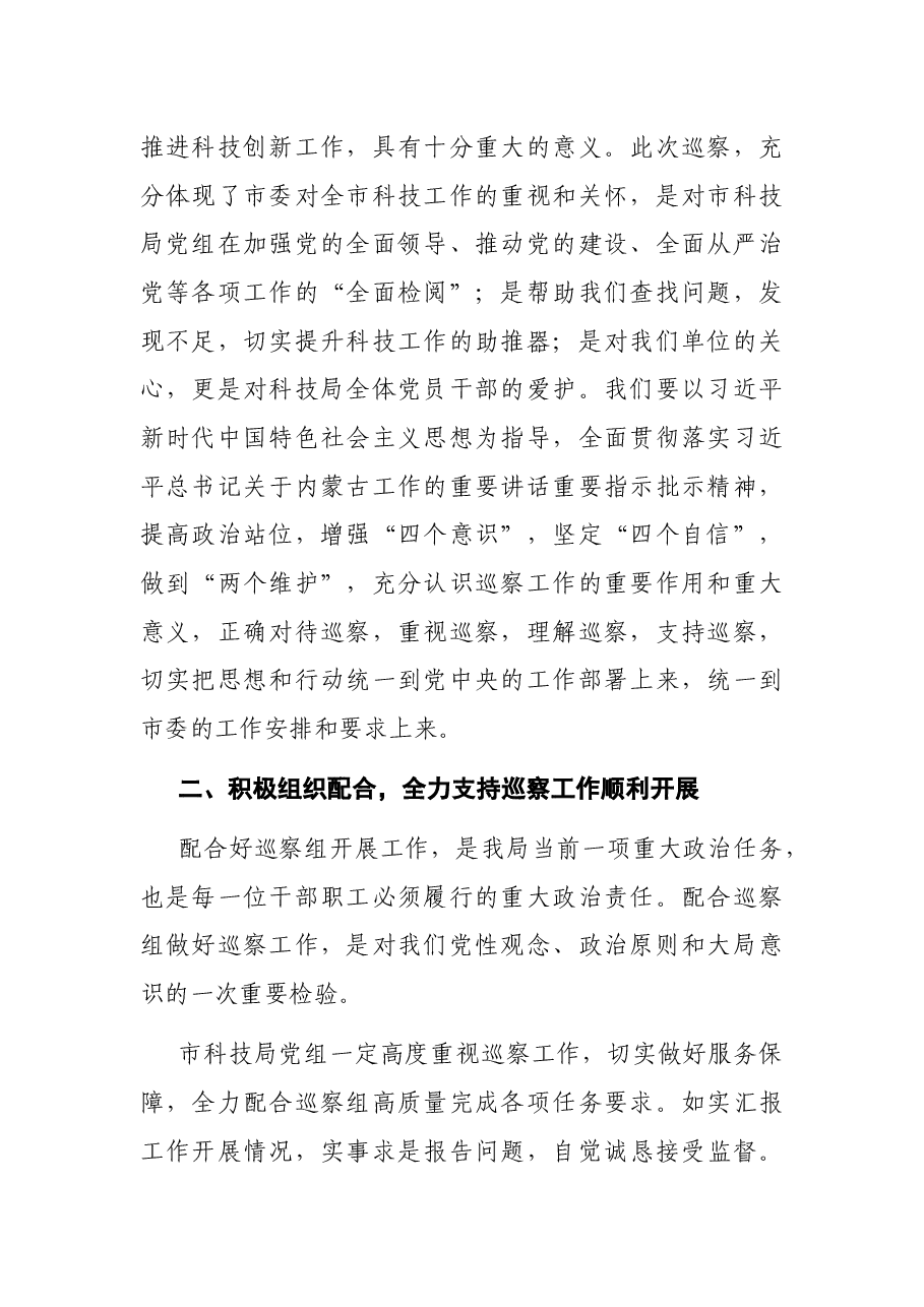 在市委巡察工作动员会上的表态发言.docx,第2页预览