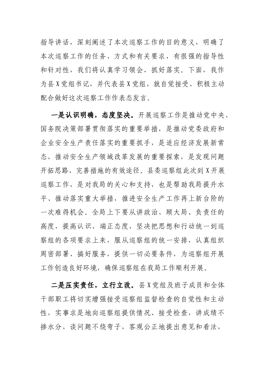 在县委巡察组工作动员会上的表态发言.docx,第2页预览