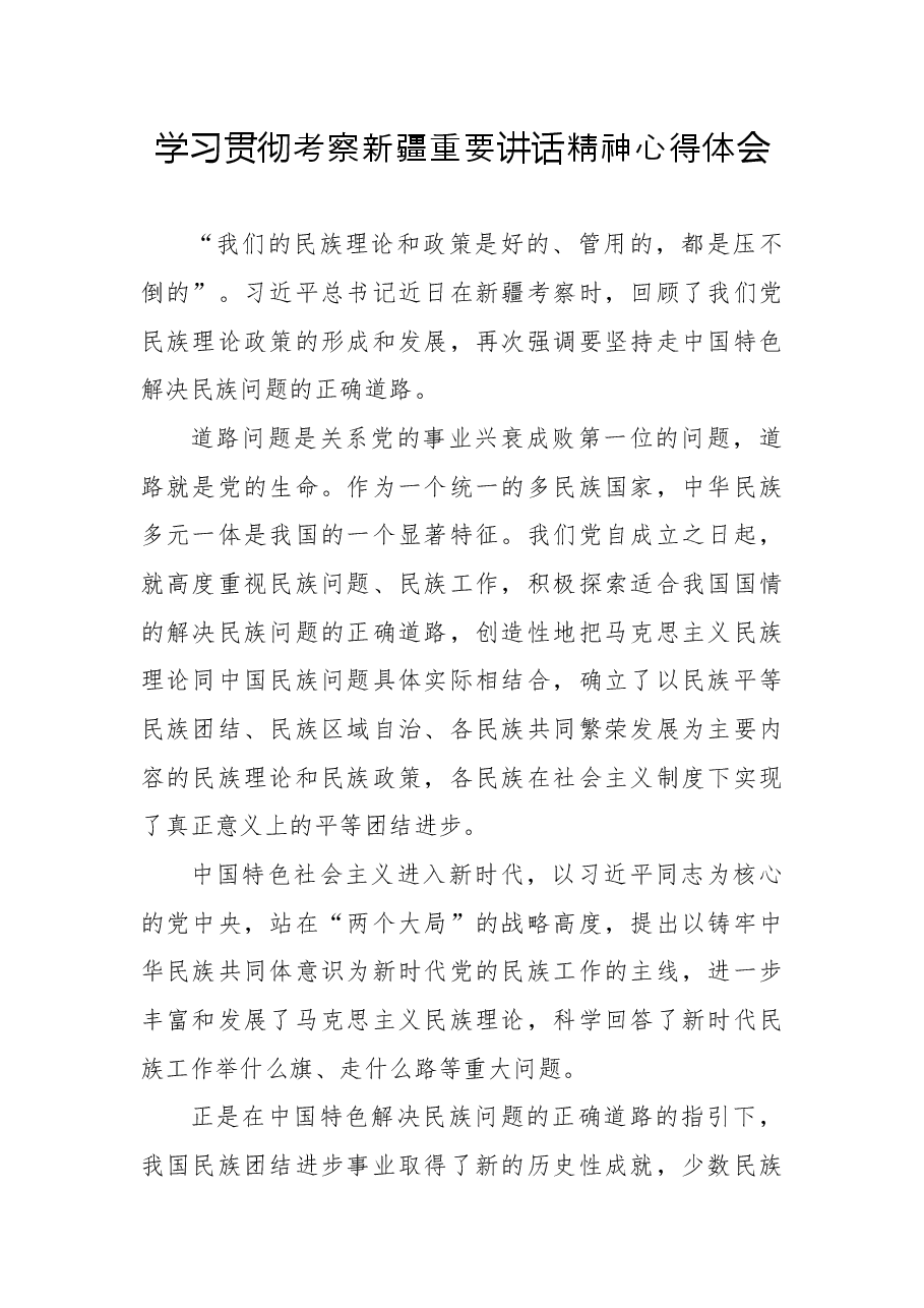 学习贯彻考察新疆重要讲话精神心得体会10.docx，第1页预览