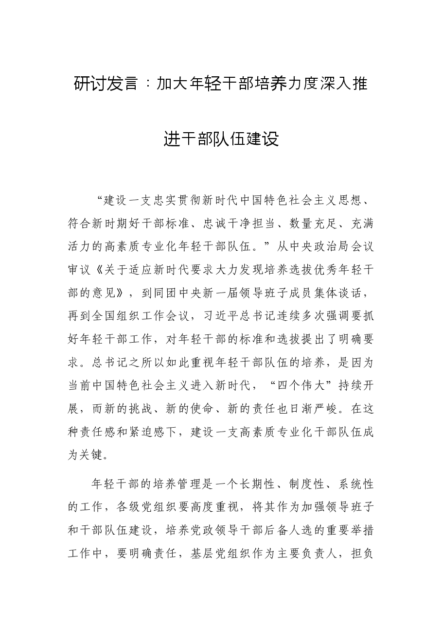 研讨发言:加大年轻干部培养力度 深入推进干部队伍建设.docx,第1页预览