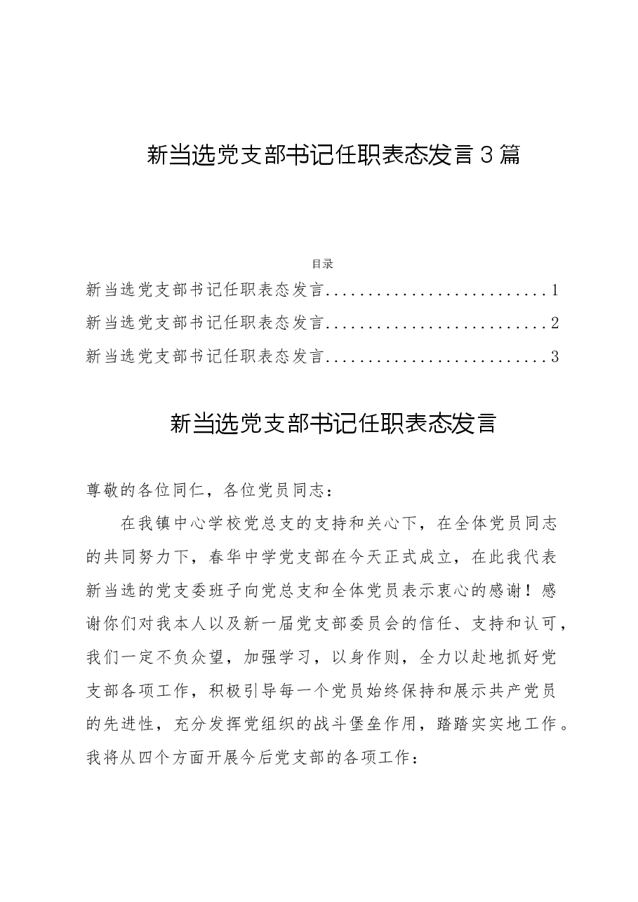 (3篇)新当选党支部书记任职表态发言.doc,第1页预览