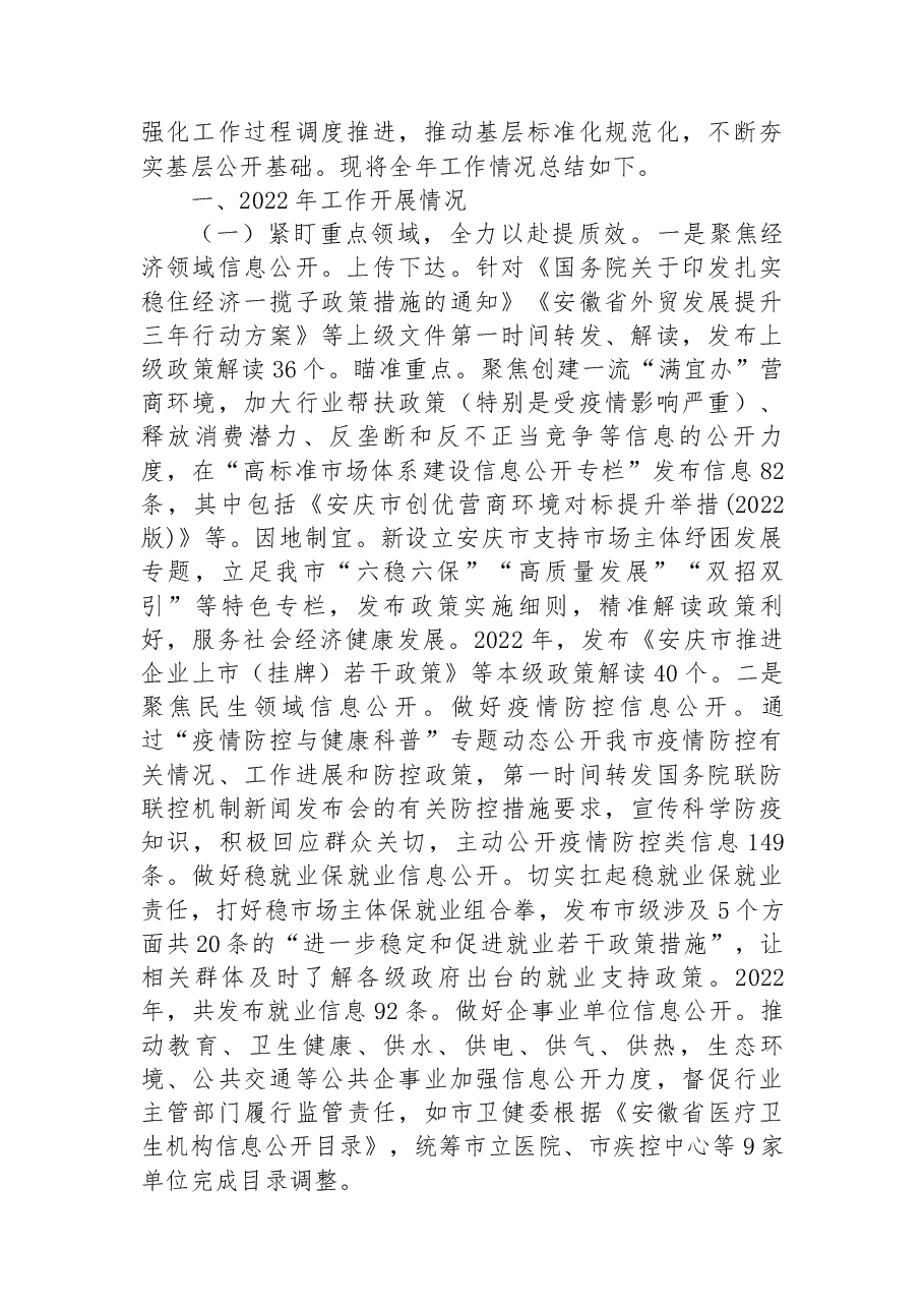 (11篇)2022年市政务公开工作总结汇编.docx,第2页预览