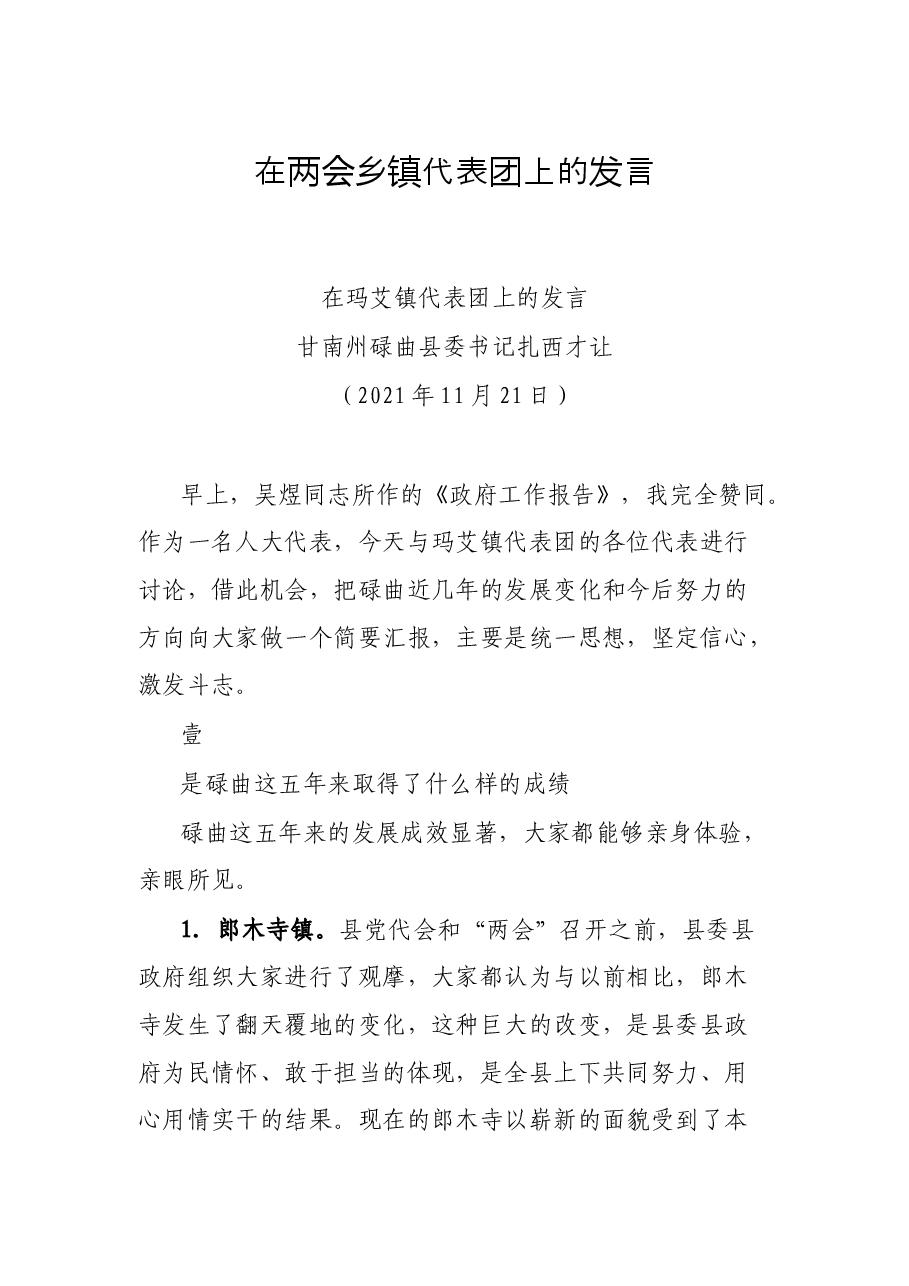 在两会乡镇代表团上的发言.docx,第1页预览