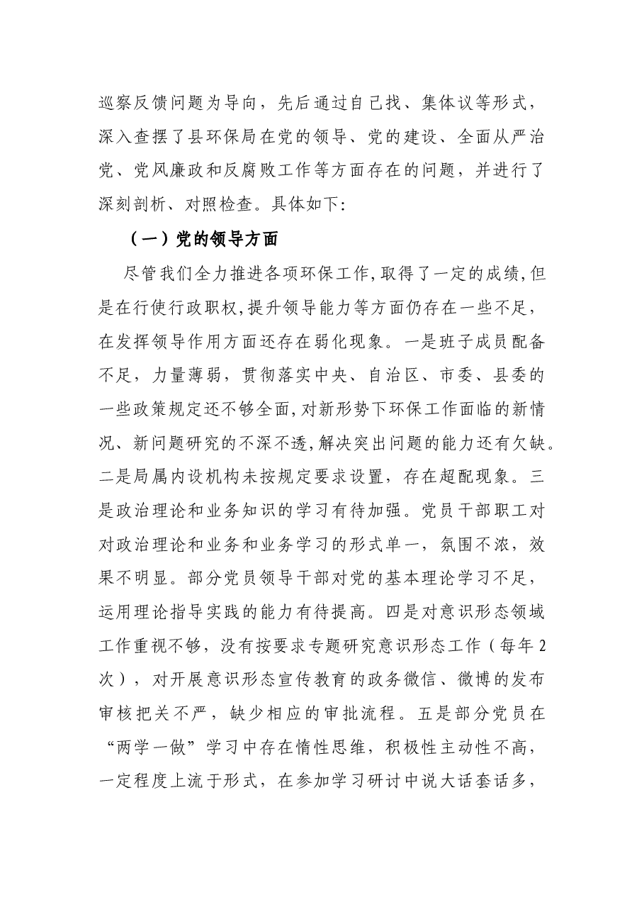 环保局巡察整改专题民主生活会班子发言材料.docx，第2页预览